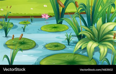 A Pond With Many Plants Royalty Free Vector Image