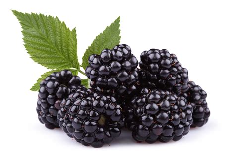 Food Of The Week Blackberries Kinetics