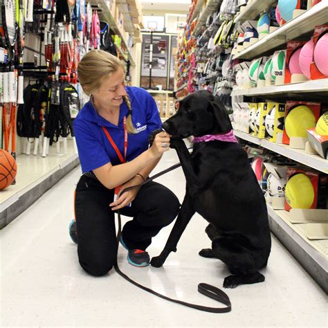 What Stores Can You Bring Your Dog In
