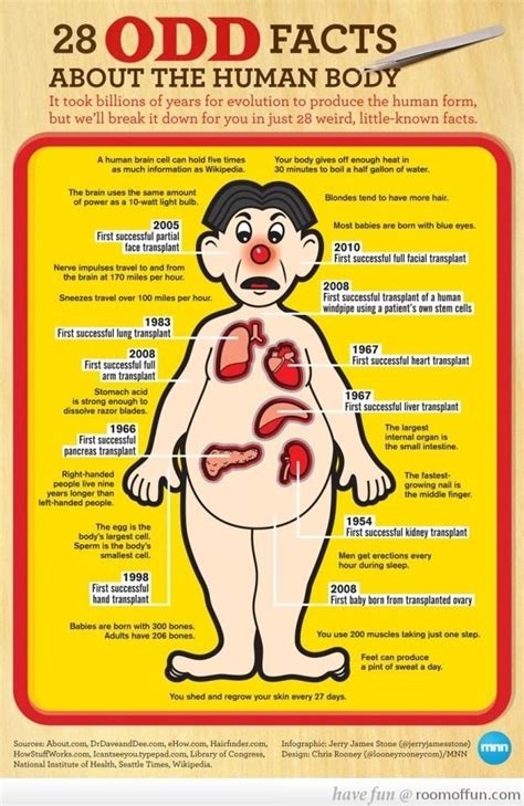 28 Odd Facts About The Human Body Human Body Facts Infographic