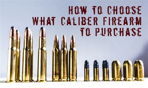How To Choose What Caliber Firearm To Purchase Rogue Survivor