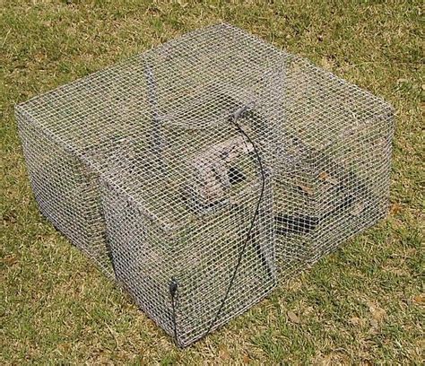 Stealth Survival Riverwalkers Pics Home Made Fish Trap
