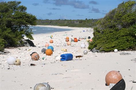 Remote Pacific Island Found Buried Under Tonnes Of Plastic Waste New