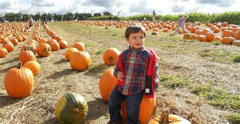 Pittsburgh Area Fall Festivals ‹ Play Pittsburgh | Fall festival