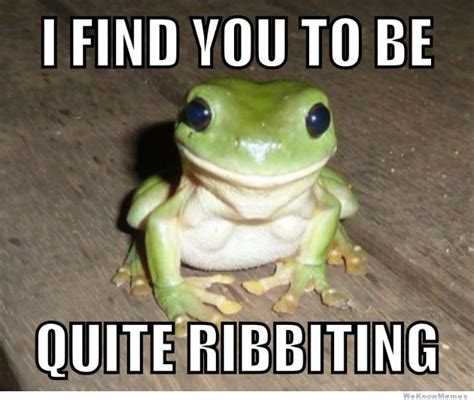 I Find You To Be Quite Ribbiting Frog 650×549 Animal Puns