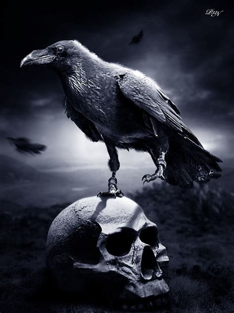 Raven Art Crow Black Bird