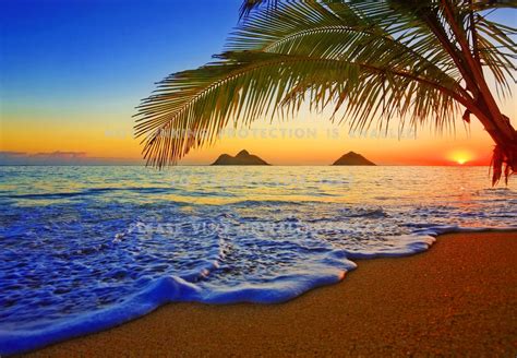 Hawaii Sunrise Waves Palms Sea Sands Ocean