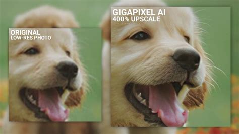 Gigapixel Ai Enhance Low Resolution Photos