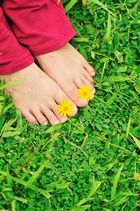 Feet With Flowers Stock Image Image Of Relax Relaxtion 26746479