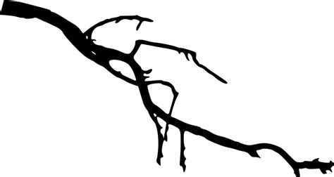 Tree Branches Silhouette At Getdrawings Free Download