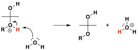 Mechanism For Hemiacetal And Acetal Formation