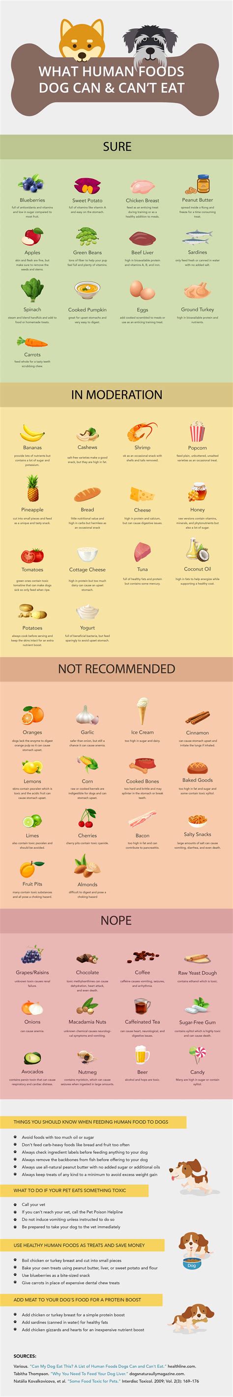 What foods can't dogs eat? 50+ Human Food Your Dogs Can And Can Not Eat - CyberPet