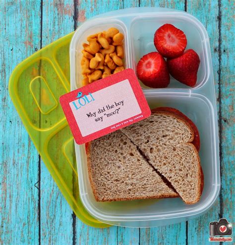 Mamabellys Lunches With Love 5 Easy Steps To Making Lunchboxes More Fun