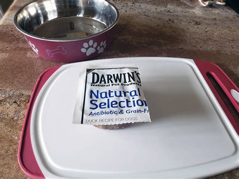 Darwins Natural Dog Food Review Raw Dog Food Delivered Woof Whiskers