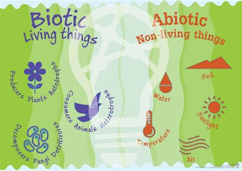 Biotic And Abiotic Science Pinterest Anchor Charts Teaching