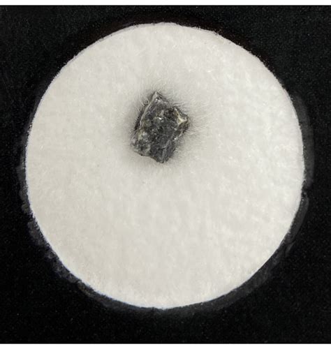 Fossils Moon Rock 12 Mg 10203 Lunar Meteorite