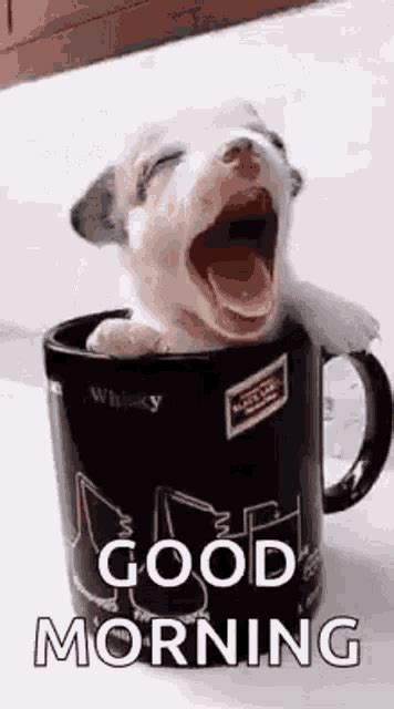 Puppy Cup  Puppy Cup Goodmorning Discover And Share S