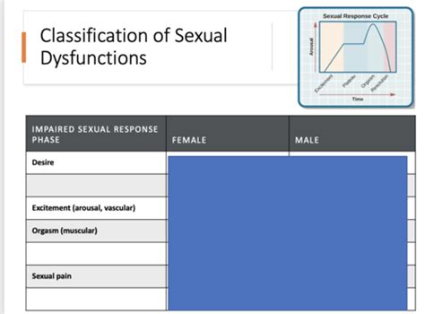 Sexuality Flashcards Quizlet