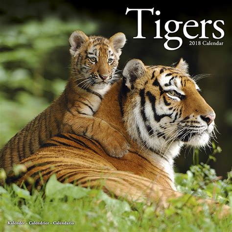 Tigers Calendarios De Pared 2018 Consíguelos En Posterses