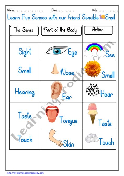 Senses Organ Chart For Preschoolers Nursery Kids Learningprodigy