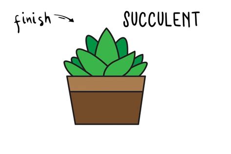 How To Draw A Succulent Plant Easy Step By Step Drawing Guide