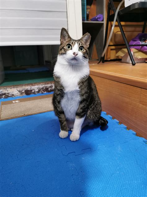 這到底是哪門子的捷運 蓋到安南區 永康 仁德倒還可以接受 畢竟也是都會區的一環 你他媽捷運蓋到玉. 其他 110年04月06日 三大法人買賣金額統計表 - 看板 Stock - 批踢踢實業坊