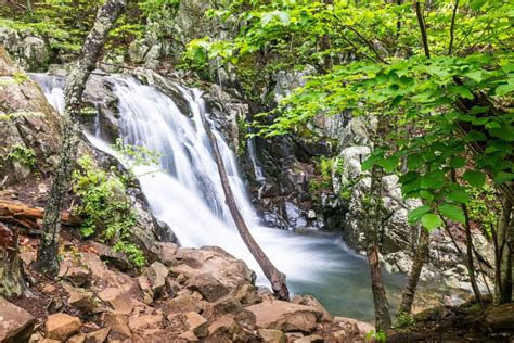 The Greatest Shenandoah Nationwide Park Waterfall Hikes For All Ranges