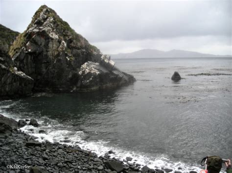 A Wandering Botanist Visiting Tierra Del Fuego A Walk On Cape Horn