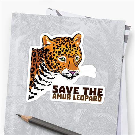 Save The Amur Leopard Stickers By Pepomintnarwhal Redbubble