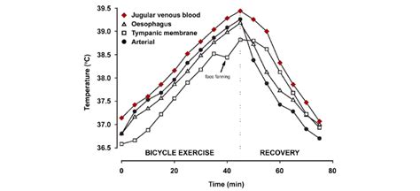 Temperature Responses During Cycling Jugular Venous Blood Temperature