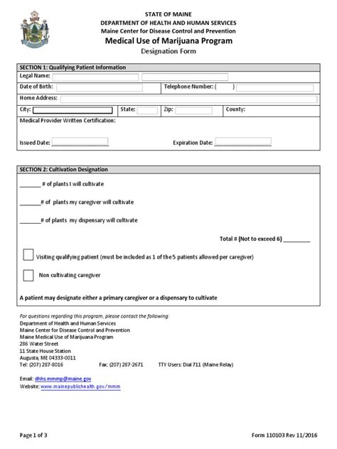 Designation Form Fillable Pdf Identity Document Caregiver
