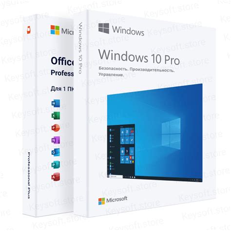 Windows 10 Pro Office 2019 Professional Plus
