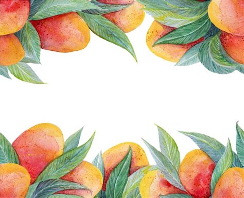 Premium Vector Colorful Background With Watercolor Fruits Mango Frame