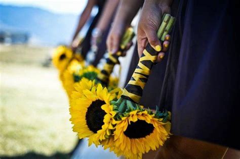 Located at 504 broadway in idaho falls, idaho. An Open Vase Photos, Flowers Pictures, Idaho - Boise ...