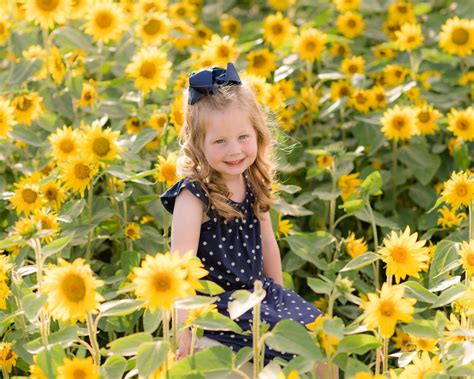 Sunflower Mini Sessions Round Two The Barn At Heritage Farm