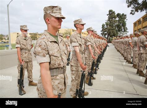 Recruits From Bravo Company 1st Recruit Training Battalion Stand At