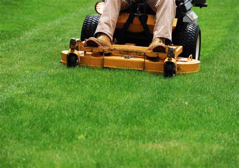 Grass Cutting Tips For A Healthier Happier Lawn Best Pick Reports
