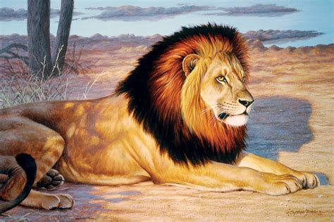 Single Lion Wall Murals Online Photowall