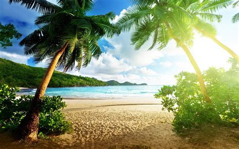 Banco De Imágenes Gratis 30 Fotos De Playas Tropicales Con Agua