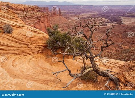 Spectacular Landscapes Of Canyonlands National Park In Utah Usa Stock