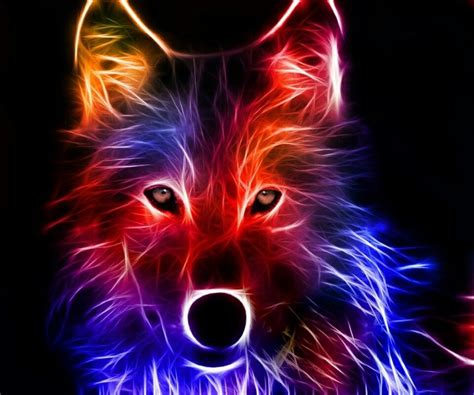 Fire Fox Wolf Wallpaper Abstract Wolf Wolf Pictures