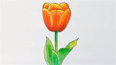 How To Draw And Paint A Tulip Flower Youtube