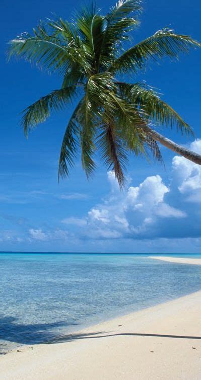 barbados beaches barbados travel tropical beaches vacation places dream vacations vacation