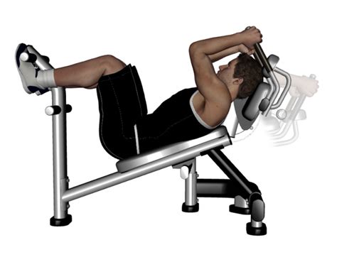 Abs + gluts, quads and hamstrings average price: Four Machines in the Gym That can Help you Build Abs ...