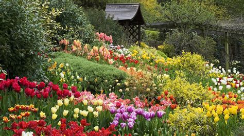 You can also upload and share your favorite background garden. "How Could I Ever Know?" by Lucy Simon and Marsha Norman ...
