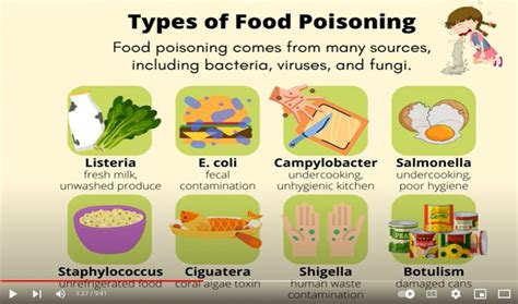 Food Poisoning Symptoms And Causes Authentic And Scientific