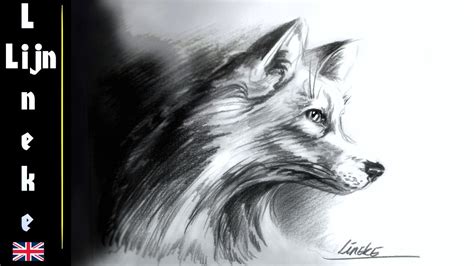 If you want to draw realistically like a photo, just use a grid. Realistic FOX drawing with graphite pencils very easy for ...