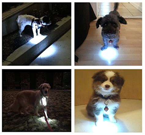 Dog Light Bubbas Leash Light Dog Collar Light 2 Per Pack Led