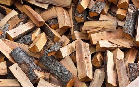 Fire Wood For Burning Use Form Logs At Rs 3 Kilogram In Bhuj
