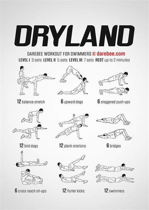 Image Result For Dry Land Workouts For Competitive
